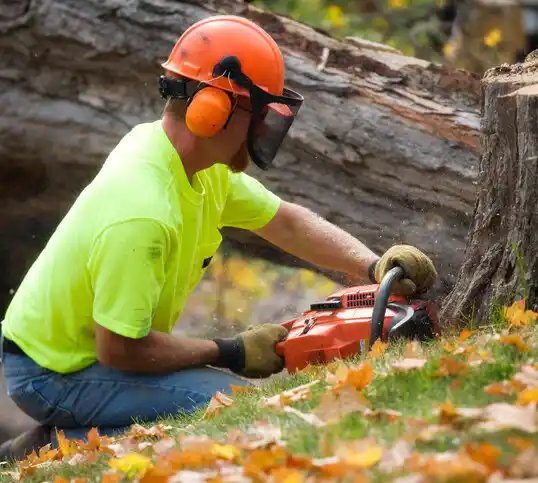 tree services La Puebla